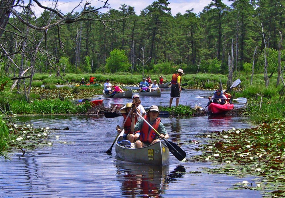 Canoeing Mullica River Protecting the New Jersey Pinelands and Pine