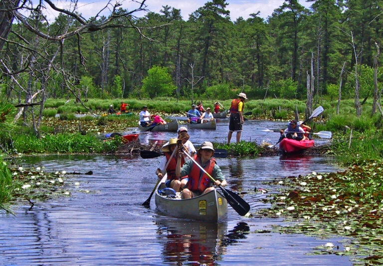 Canoeing Mullica River Protecting the New Jersey Pinelands and Pine