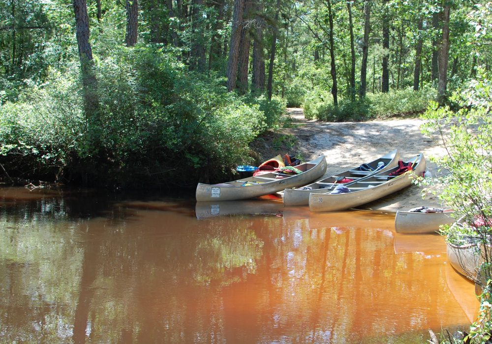 Canoes on Batsto Protecting the New Jersey Pinelands and Pine Barrens