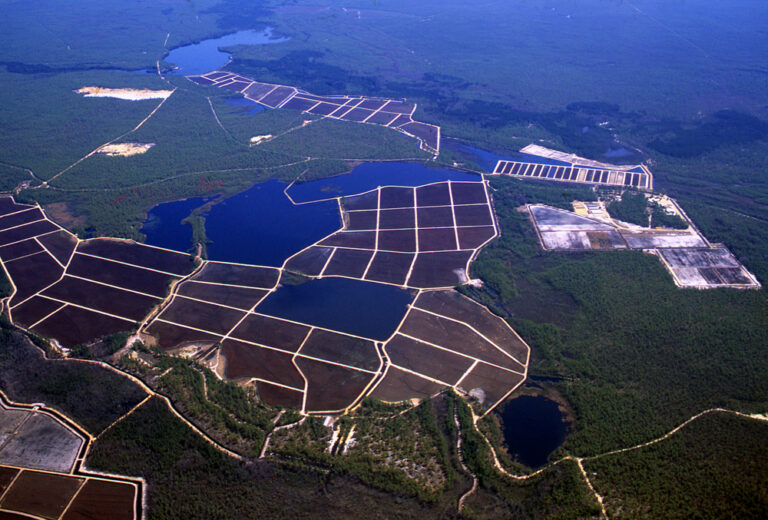Cranberry Bog Aerial Protecting the New Jersey Pinelands and Pine