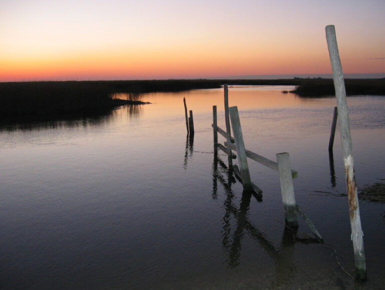 Port Norris Sunset Protecting the New Jersey Pinelands and Pine