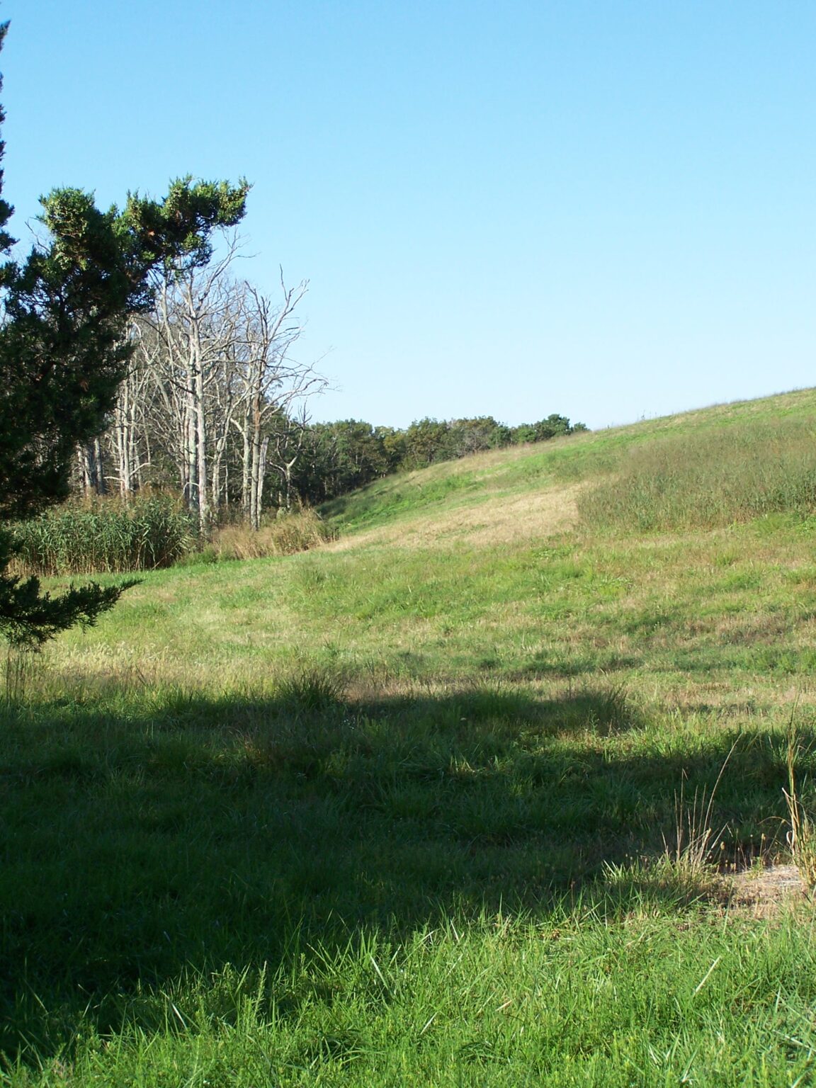 Southern Ocean Landfill - Protecting the New Jersey Pinelands and Pine ...