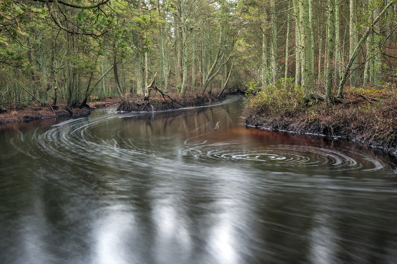 Wading River Ernie Cozens Protecting the New Jersey Pinelands and