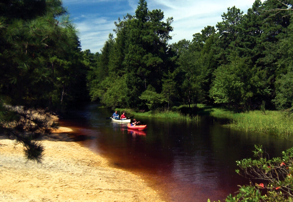 Wading River Kayak Protecting the New Jersey Pinelands and Pine