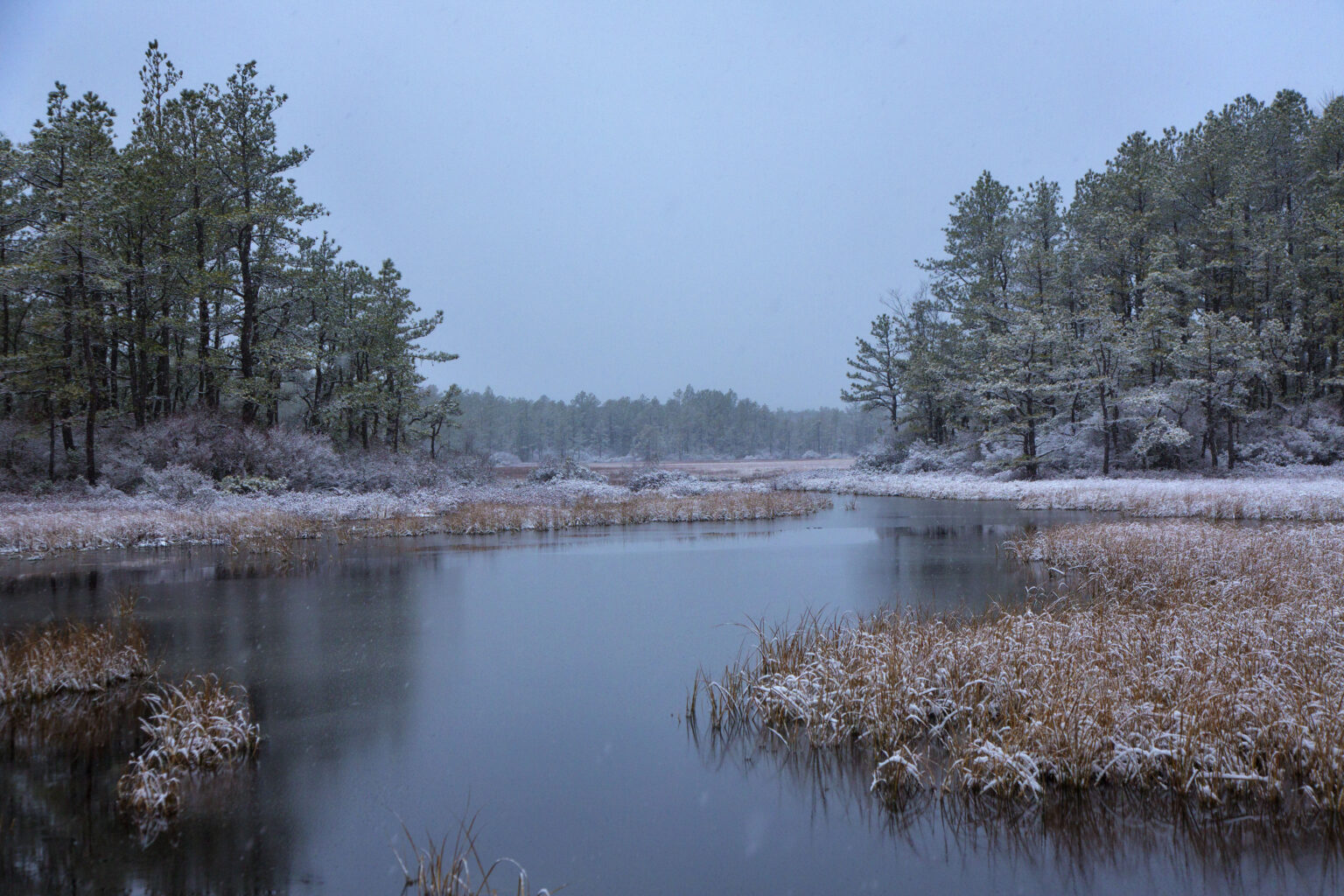 Camping in the Pine Barrens Protecting the New Jersey Pinelands and