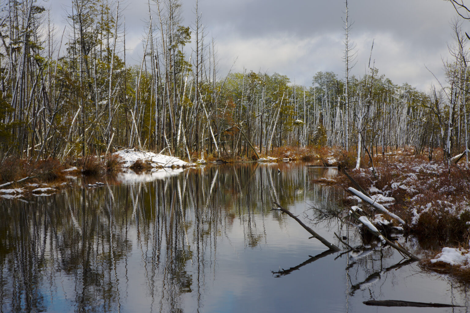 Camping in the Pine Barrens Protecting the New Jersey Pinelands and