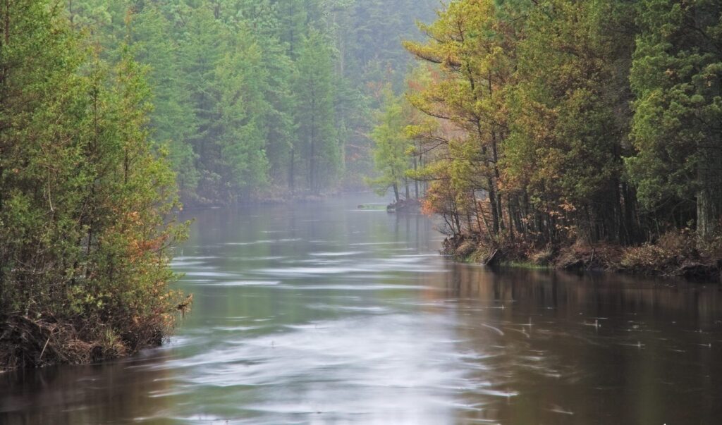 New Jersey Pinelands and Pine Barrens Overview Protecting the New