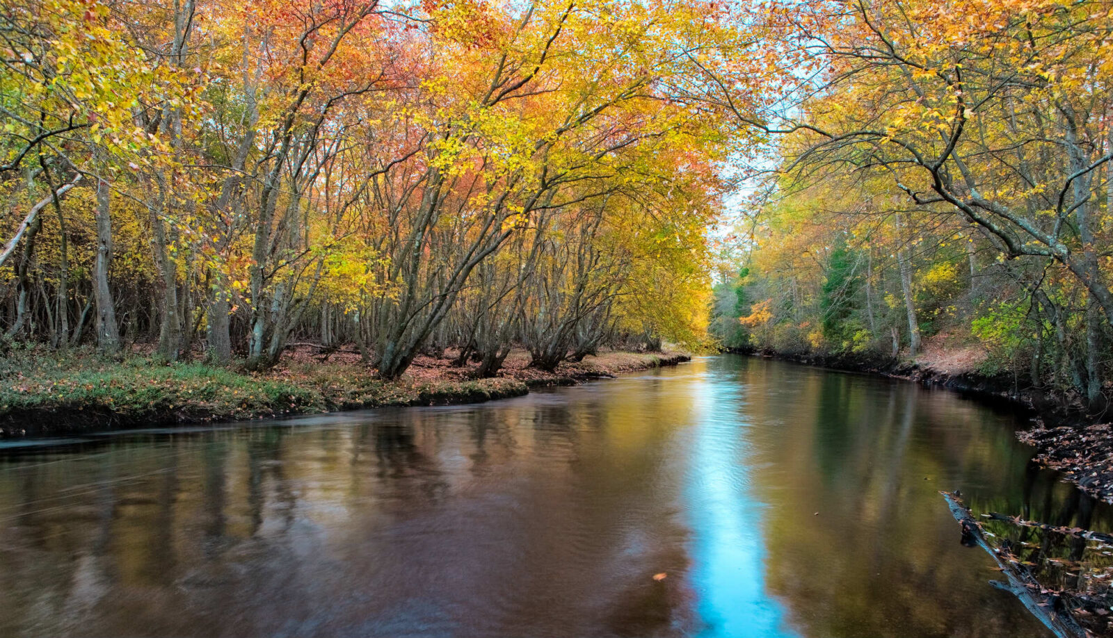 WadingRiverFallAlbertHorner2000px Protecting the New Jersey