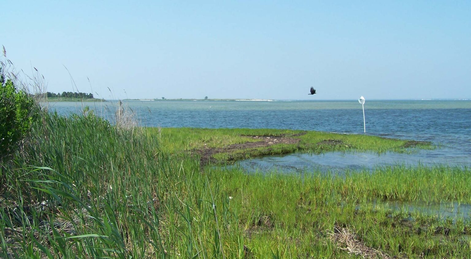 barnegatbayphotograph Protecting the New Jersey Pinelands and Pine