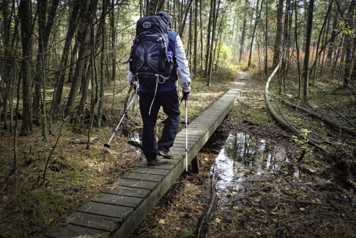 john volpa hikes the batona trail in the new jersey pine barrens