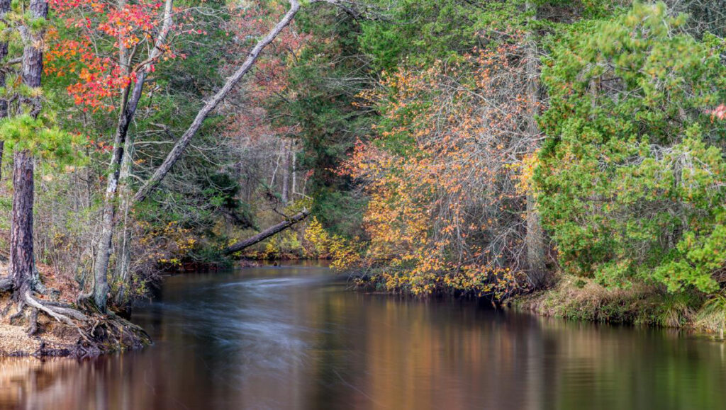 AitkenChWadingRiver_1 Protecting the New Jersey Pinelands and Pine