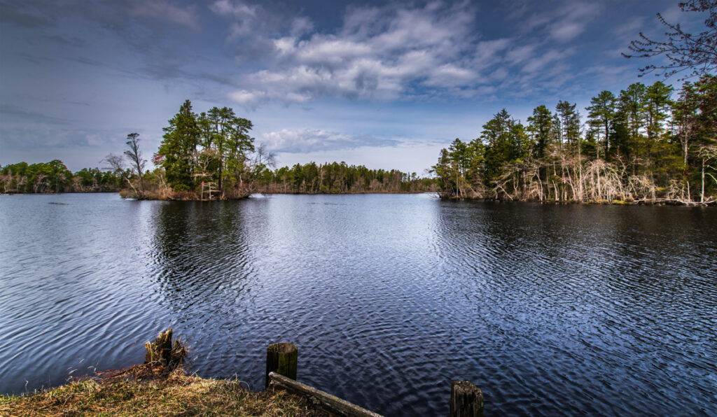 JonesAlTheForksinApril_1 Protecting the New Jersey Pinelands and