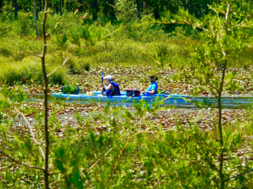 OvertonSaKayakinginthePinelands_1 Protecting the New Jersey