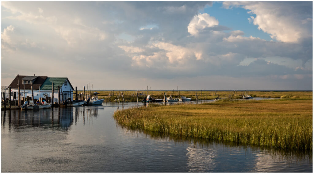 brucehimelmanleedspoint Protecting the New Jersey Pinelands and
