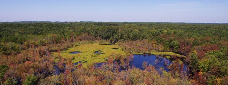 BlackRunPreserve by Randy Stanard