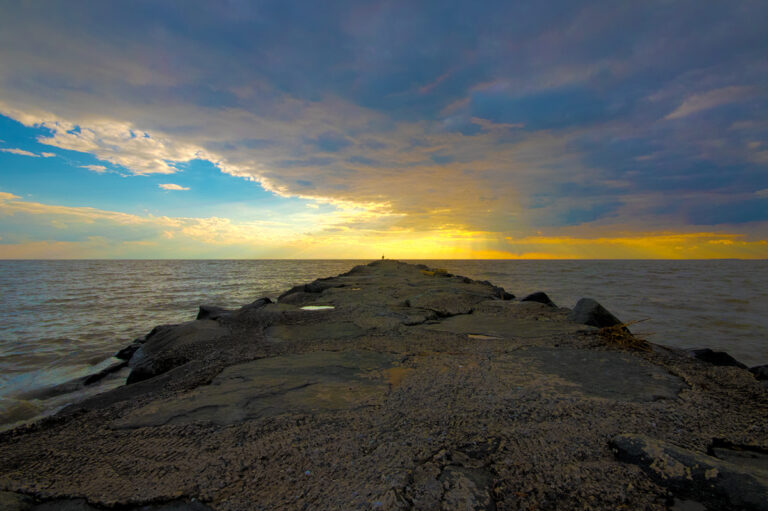 robert-bittle–dennis-creek-wildlife-management-area-jetty - Pinelands ...