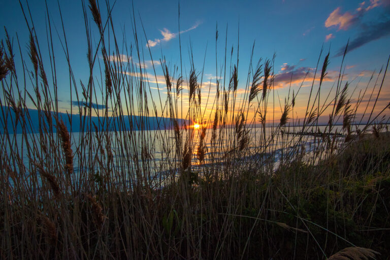 robert-bittle–heislerville-wildlife-management-area - Protecting the ...