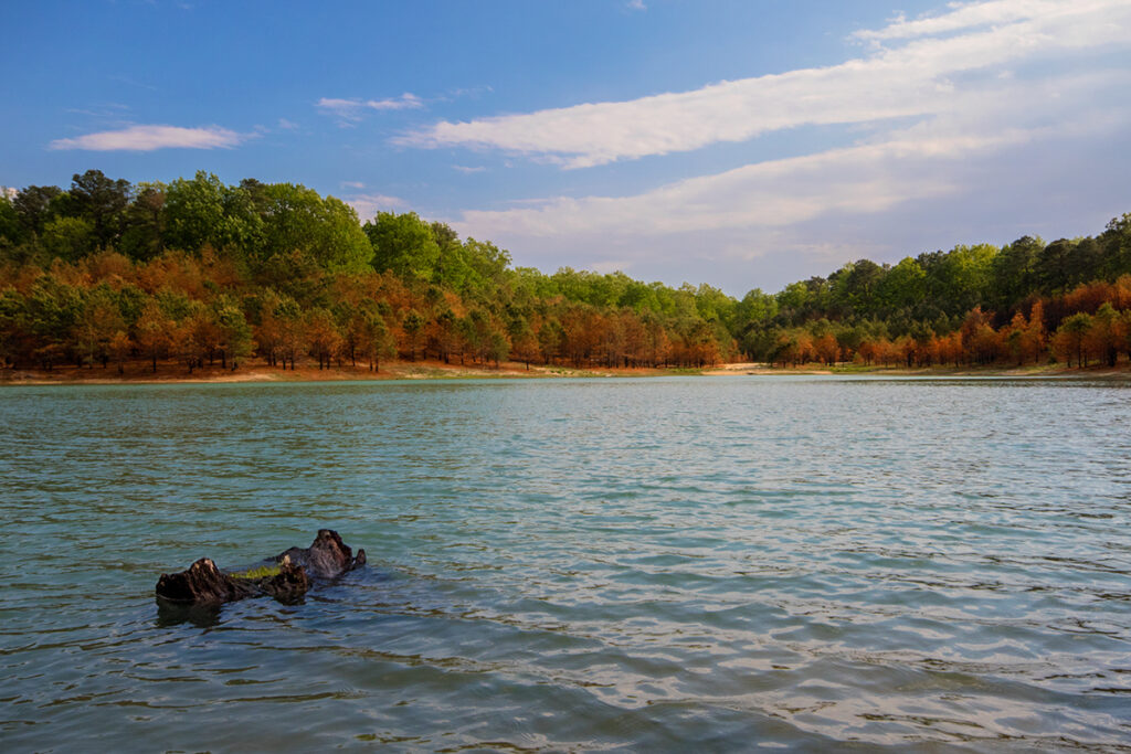 robert-bittle–winslow-fish-and-wildlife-management-area - Protecting ...