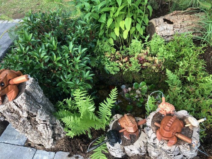 picture of garden