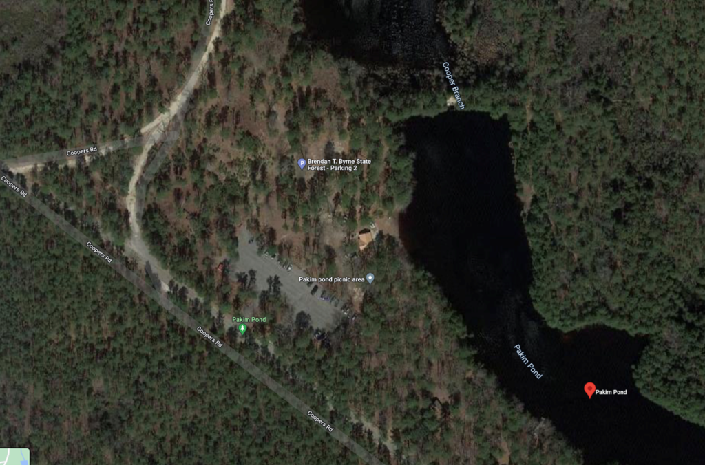 Access Nature Wants You! Volunteer at Brendan Byrne State Forest