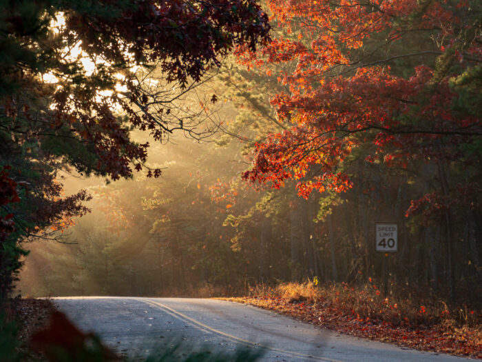 Morning Light by Aleja Estronza