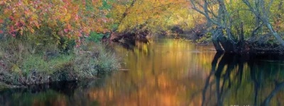 batsto river in the pine barrens
