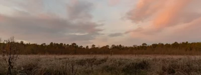 Morning sky at Black Run  by Catherine Floyd