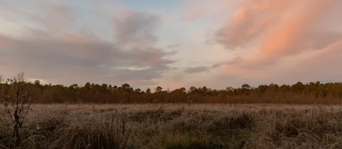 Morning sky at Black Run  by Catherine Floyd