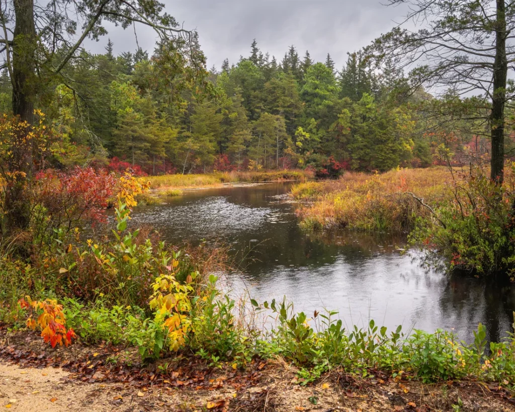 Marsh River in Autumn by Martin Kavanagh
