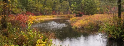 Marsh River in Autumn by Martin Kavanagh