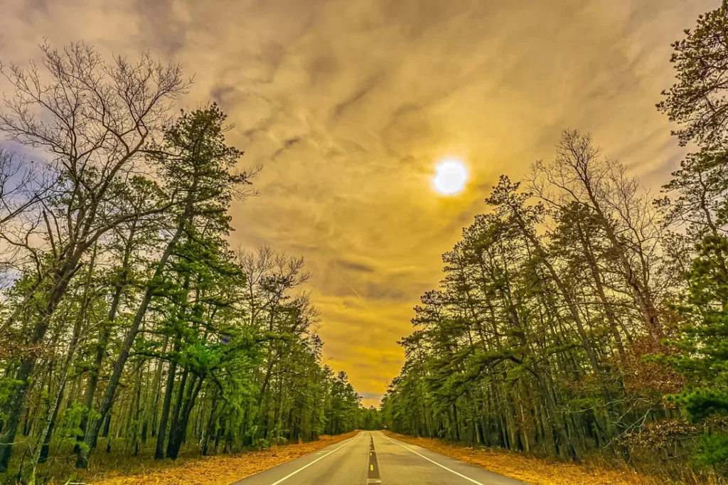 Wildfire sky in the pines by Theresa Law