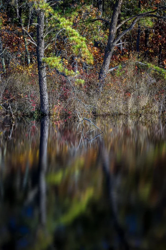 Tall Drink Of Water by John Stritzinger