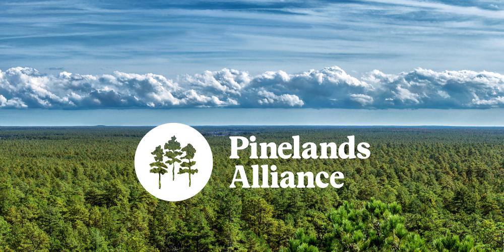 Blog image (no caption)