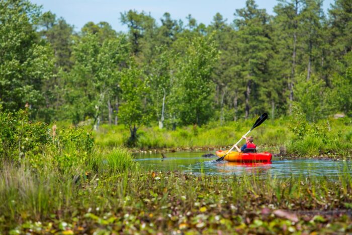 kayak-forested-river